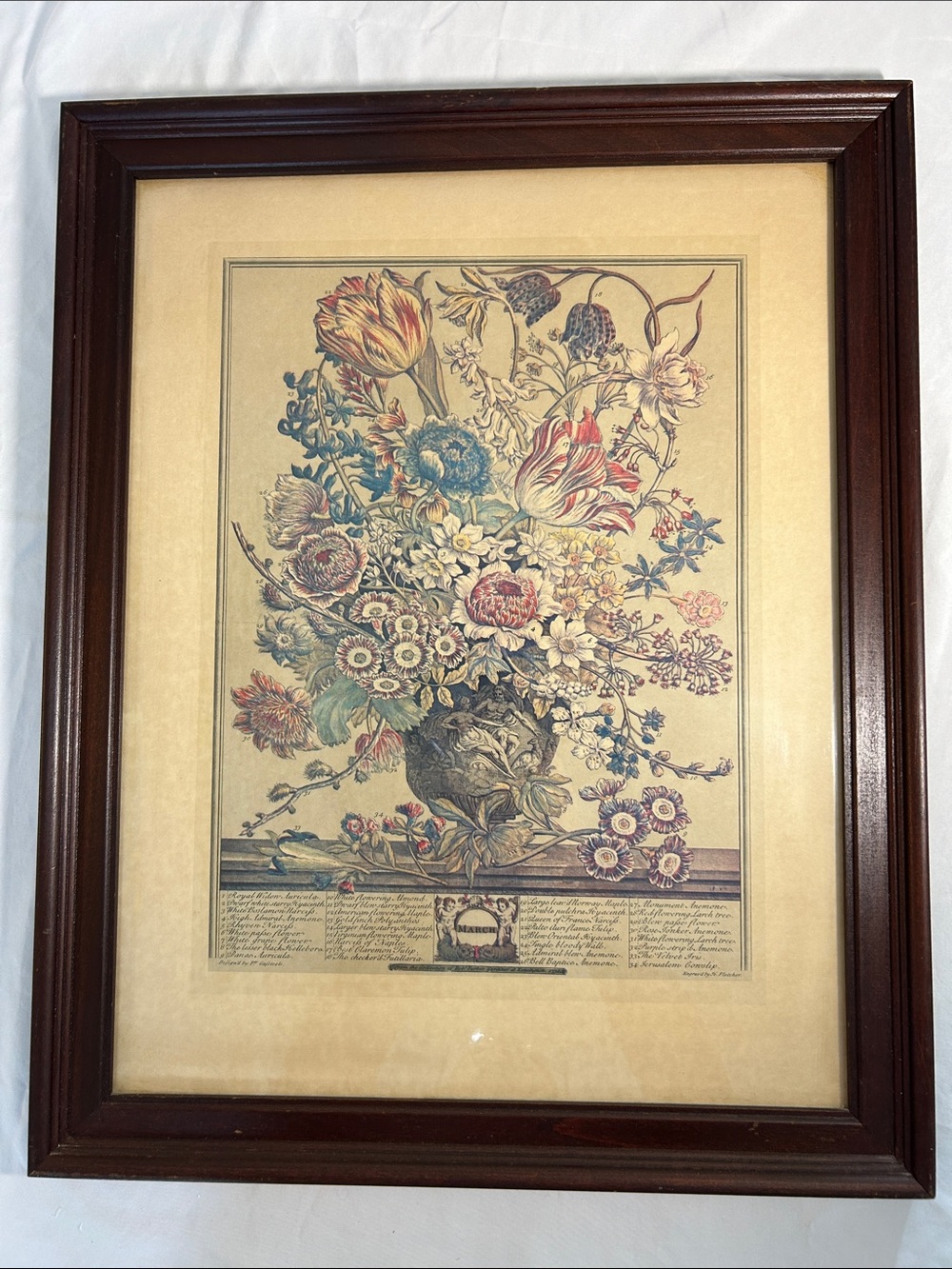Vintage Robert Furber MARCH 12 Months of Flowers Print in Ethan Allen Frame